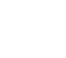 RISE Partnerships