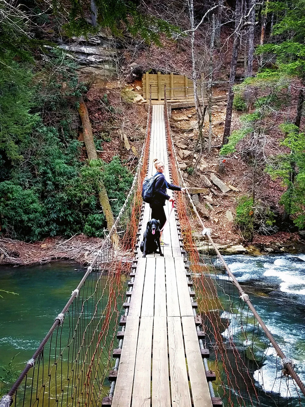 Are Dogs Allowed At Fall Creek Falls