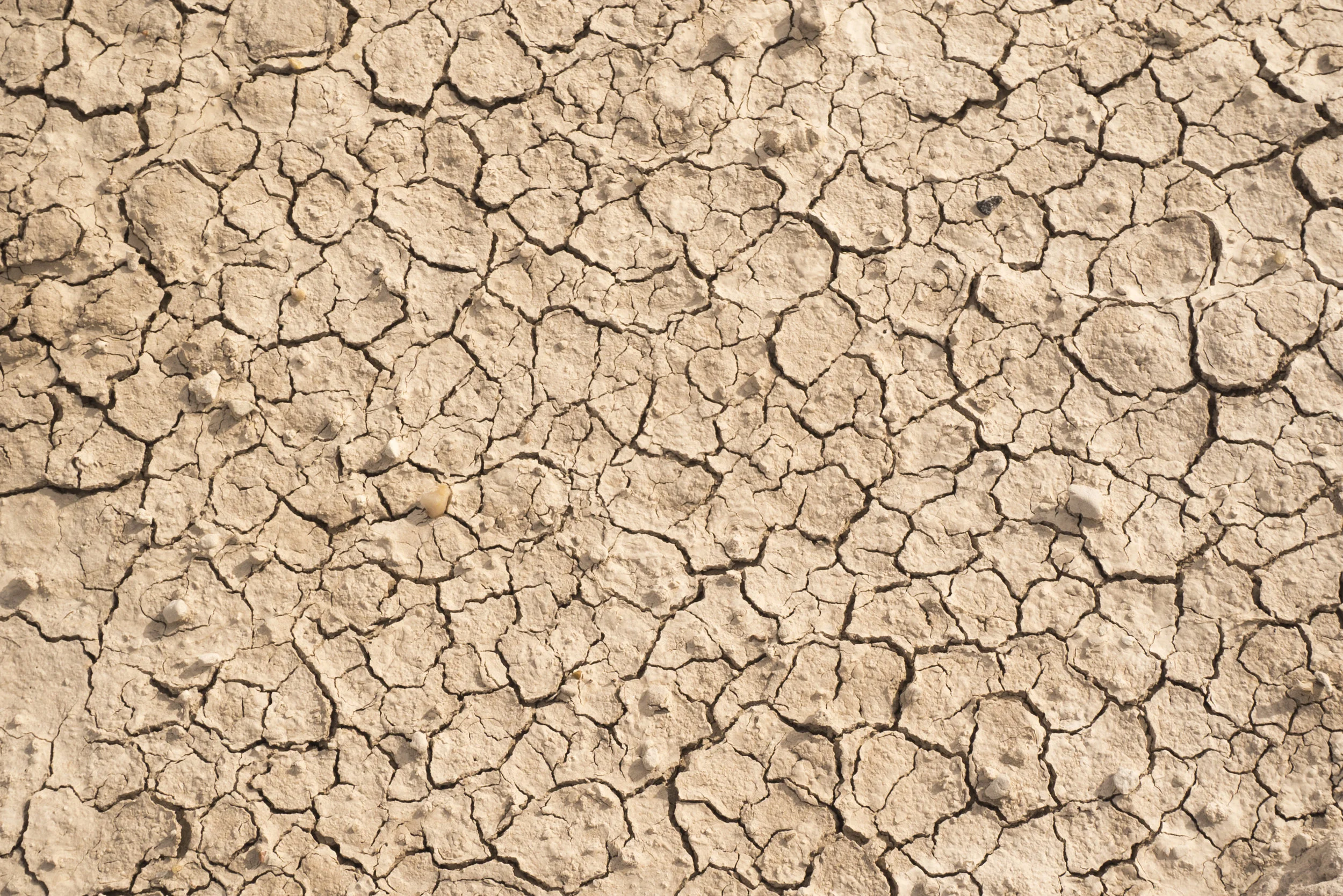 badlands6.jpg