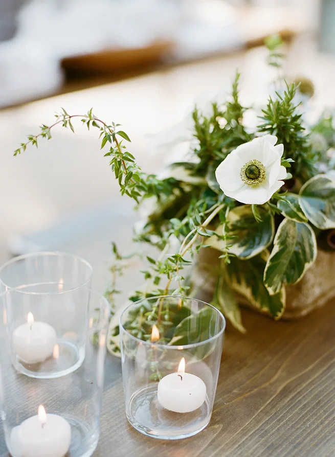 24-green-anemone-white.jpg