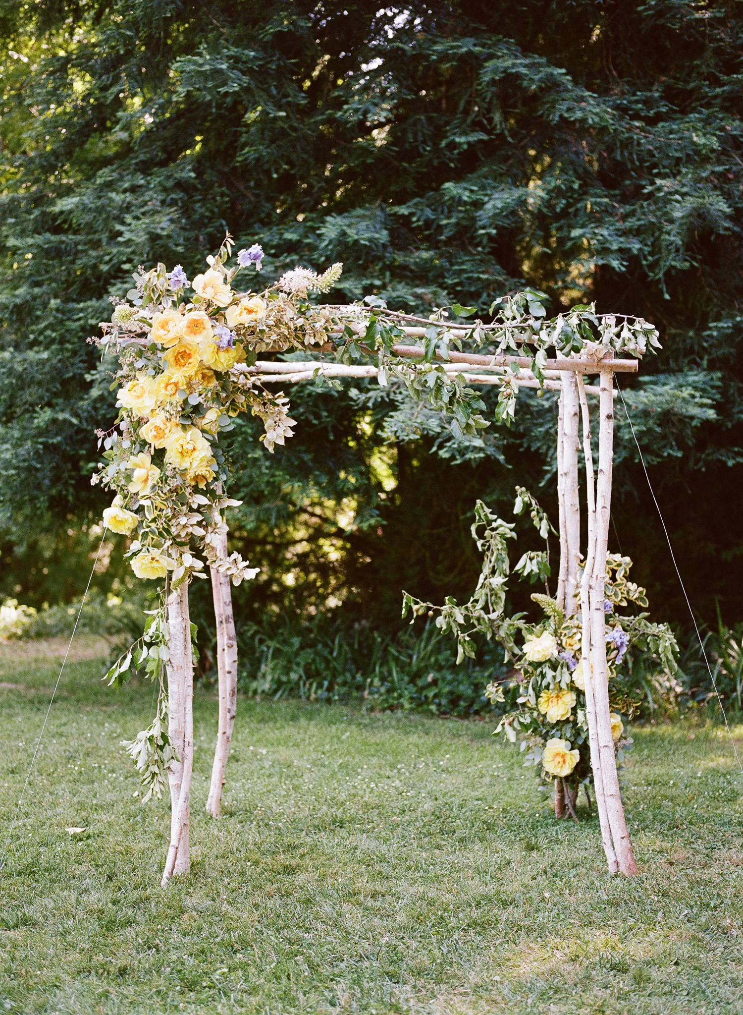 18-yellow-peony-arch.jpg