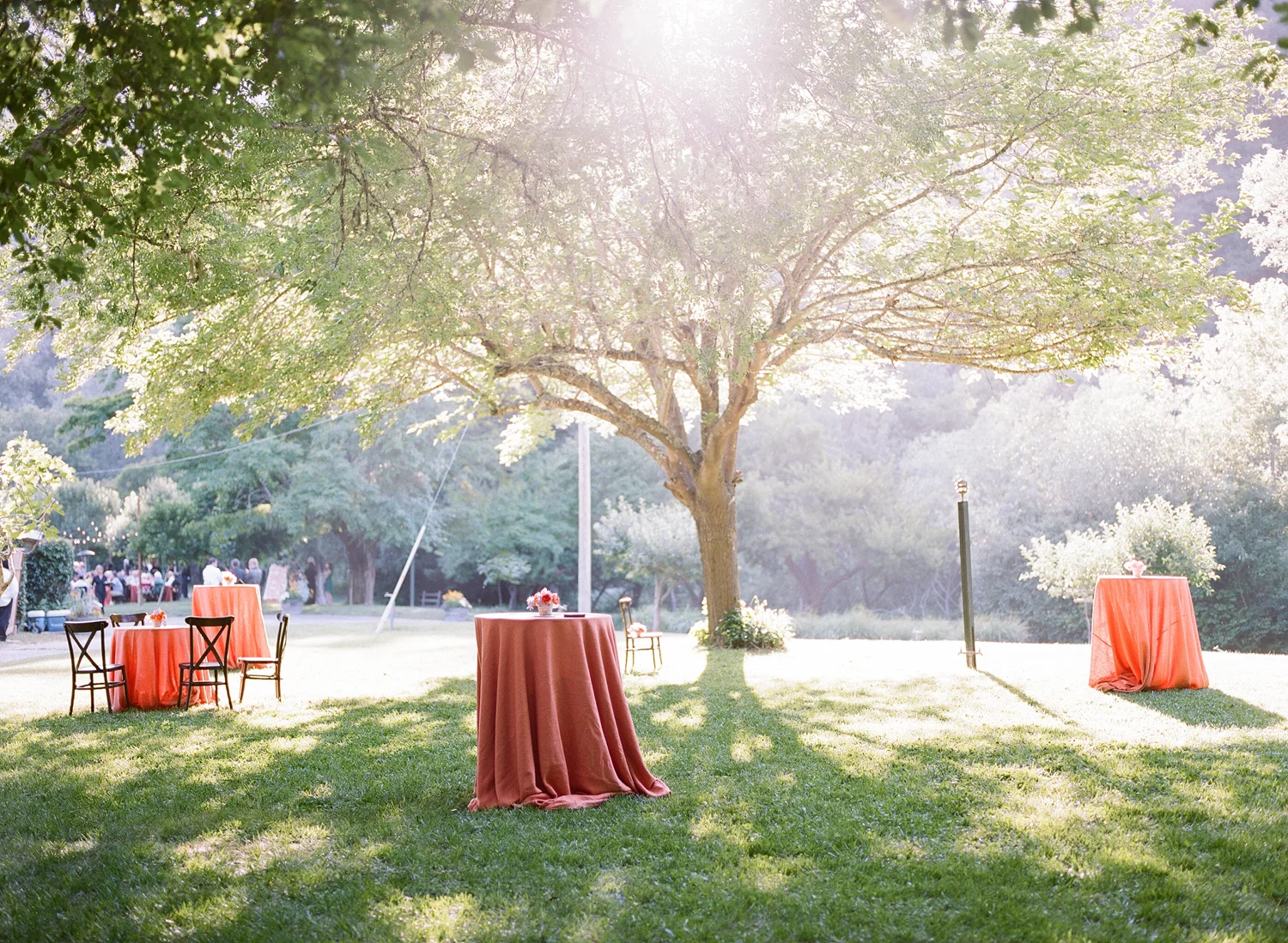 32-coral-linen.jpg