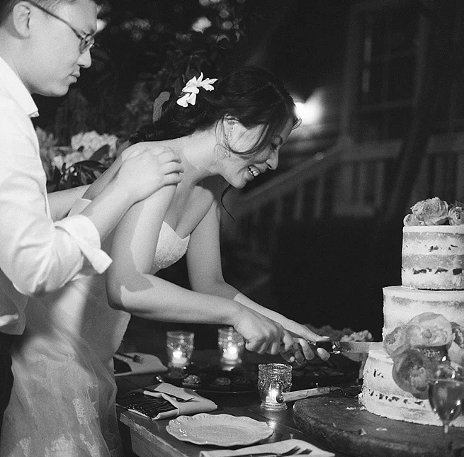 60-cake-cutting-hasselblad-500cm.jpg