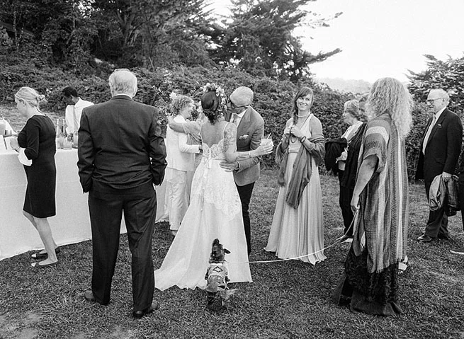 18-guests-congratulate-bride.jpg