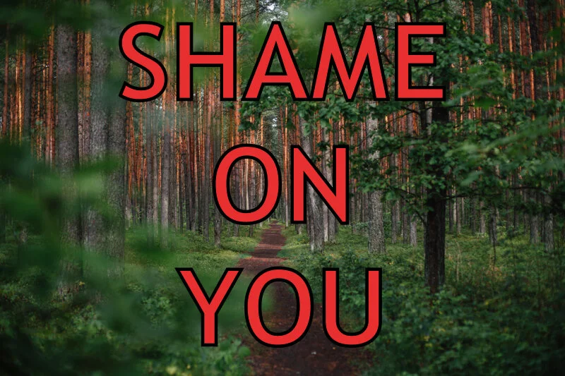 Moving Forward 3: Purity Culture