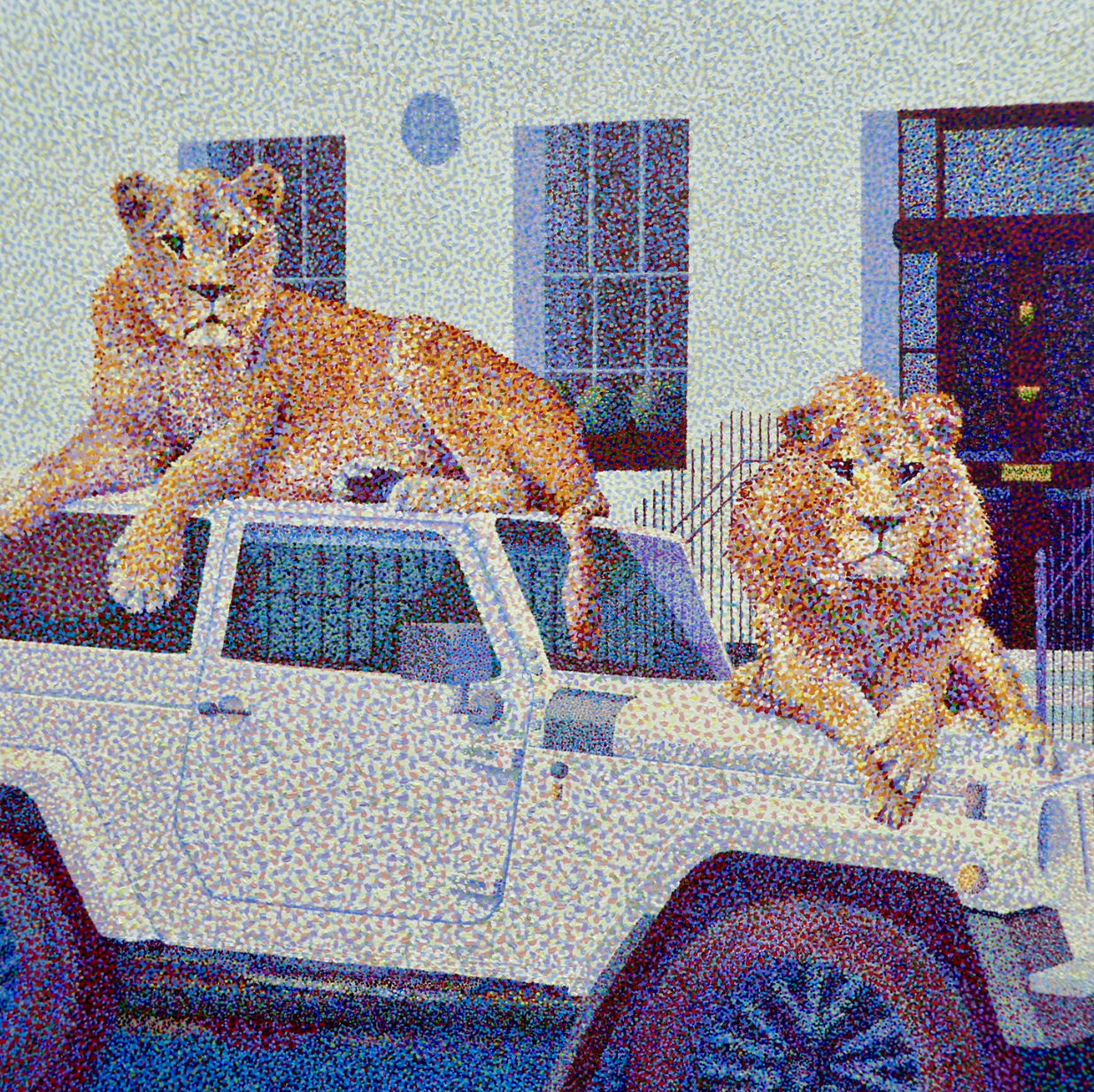 Its a jungle out there SS.png