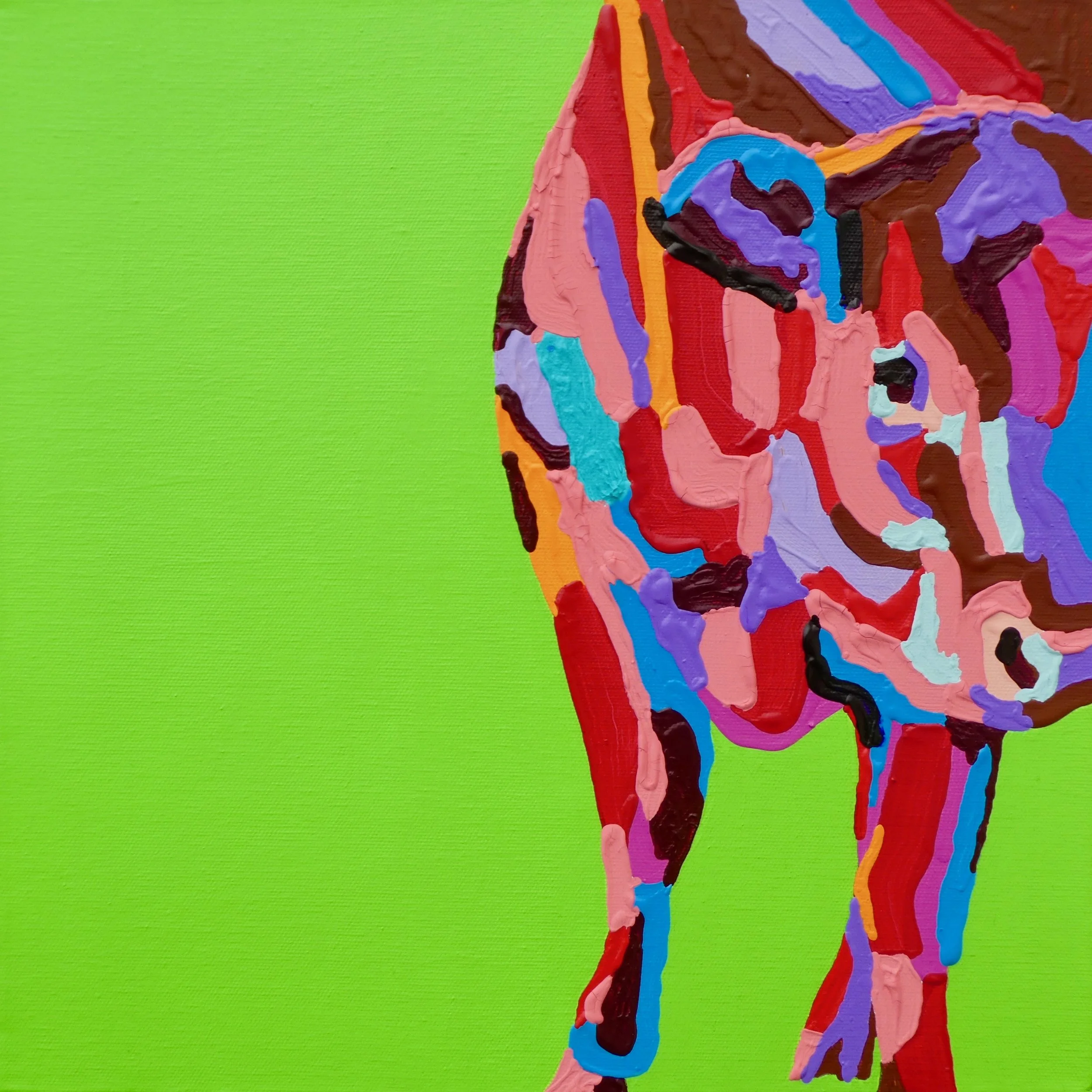 Ruby red one cow.jpg