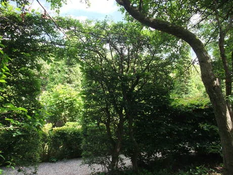 AROUND TOWN: Overgrown: Practice between Landscape Architecture and Gardening JULIAN RAXWORTHY