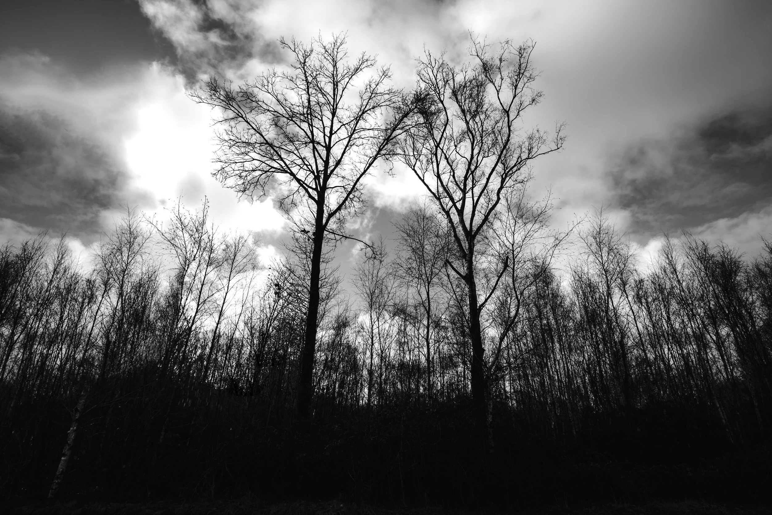 album cover for kuar nhial, west-vlaanderen, belgium, 2018.