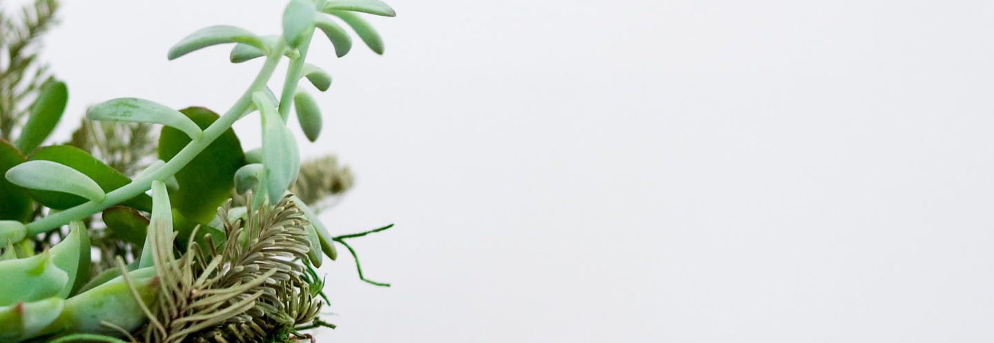 Blog_Header.png