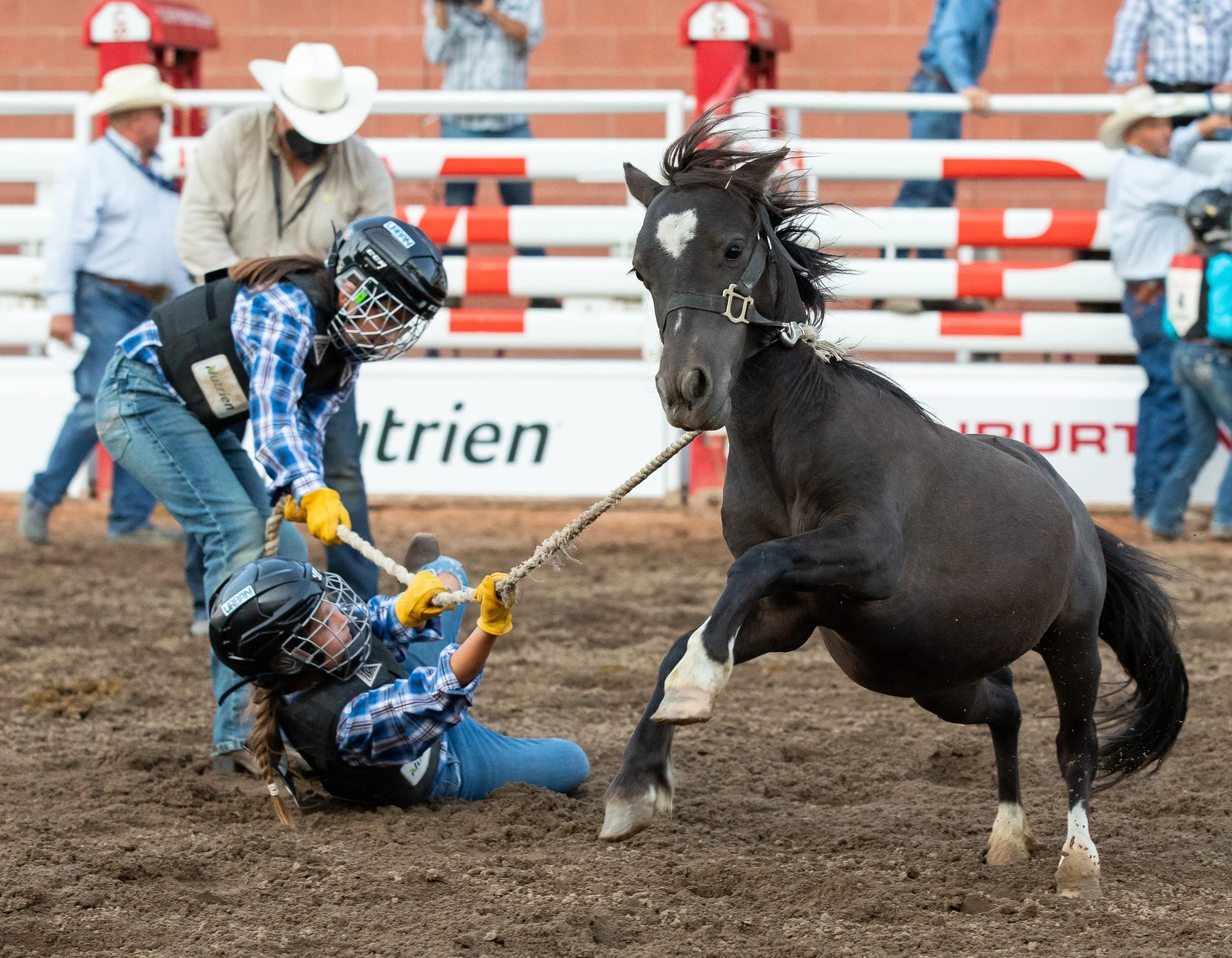 Calgary Stampede-1-29.jpg