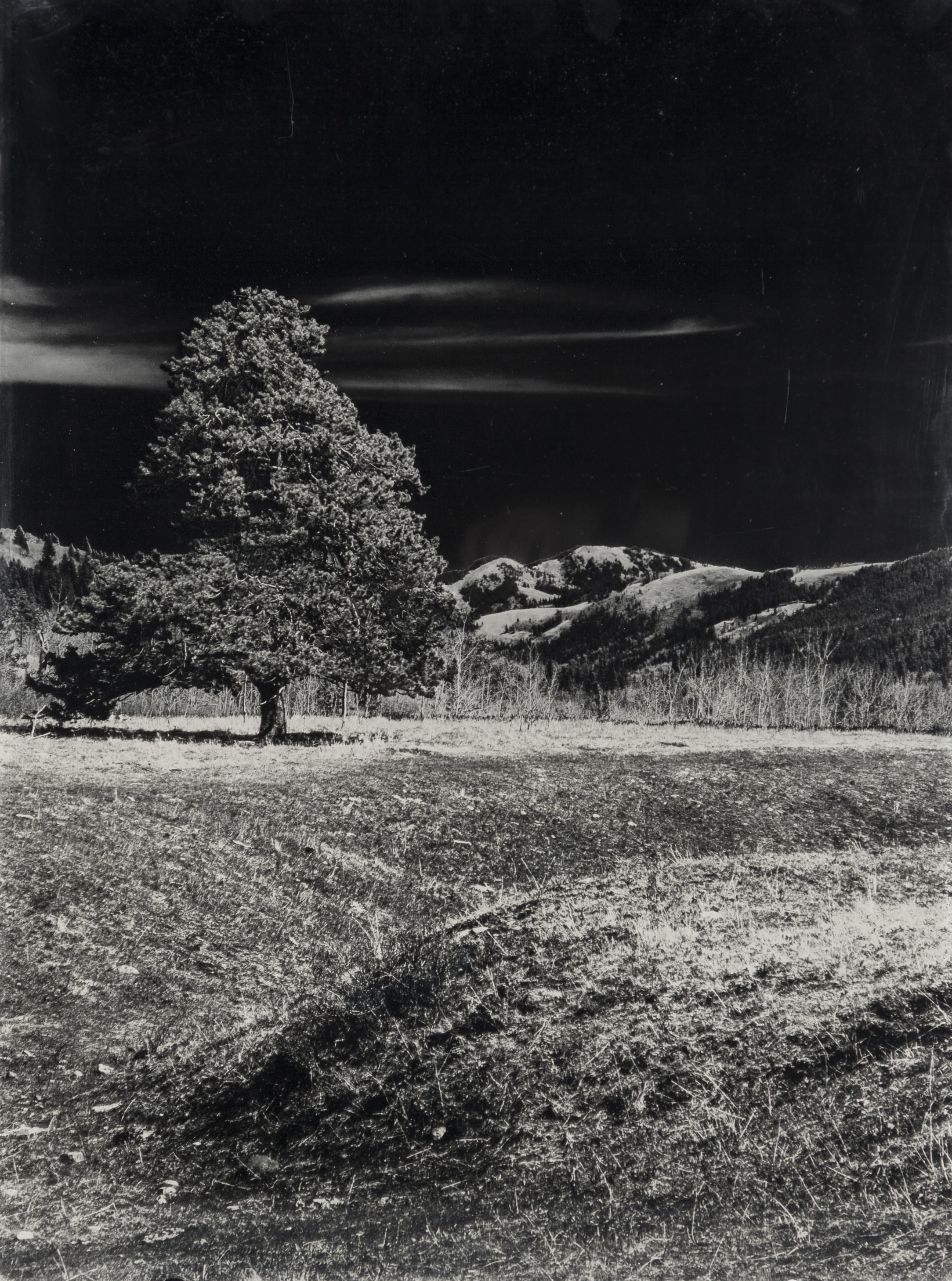 Blake_Chorley_Castle Tree_Multilayer Ambrotype.jpg