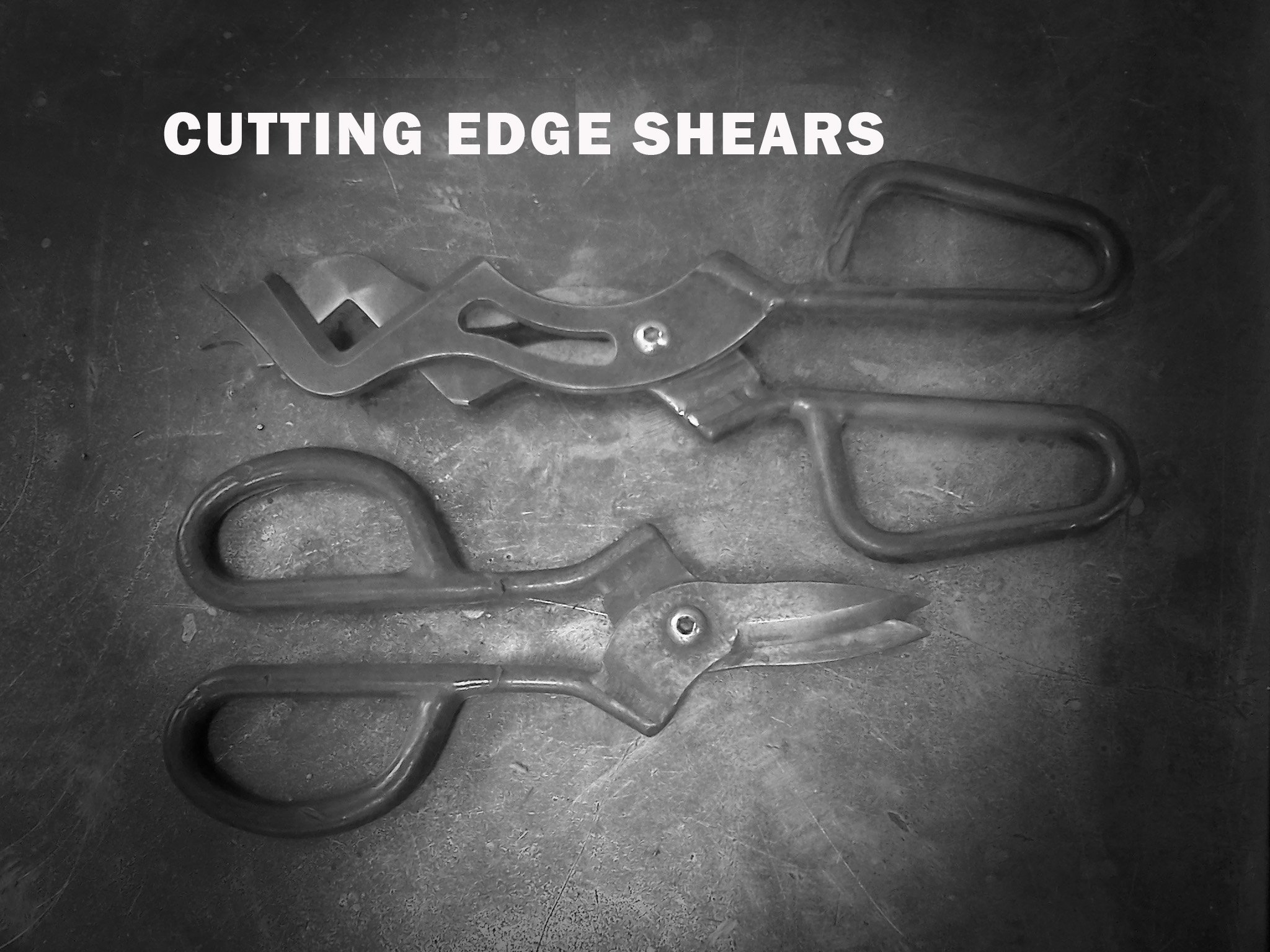 cutting edge shears that need repair.jpg