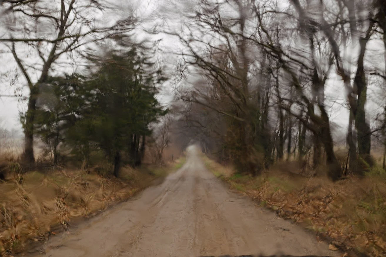 0N0A4872-Enhanced-NR copy.jpeg