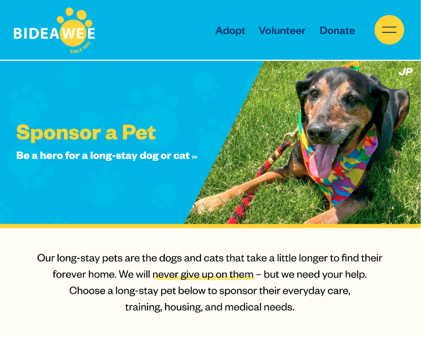 Screenshot 2024-01-04 at 11.44.45 AM.png