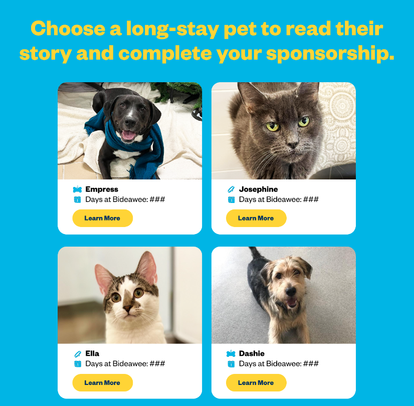 Screenshot 2024-01-04 at 11.45.00 AM.png