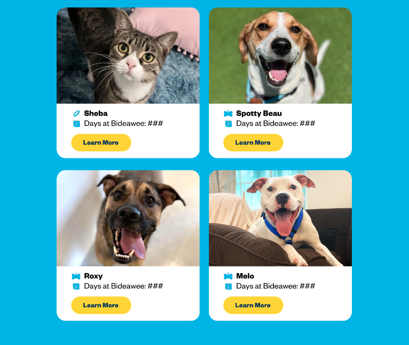 Screenshot 2024-01-04 at 11.45.08 AM.png