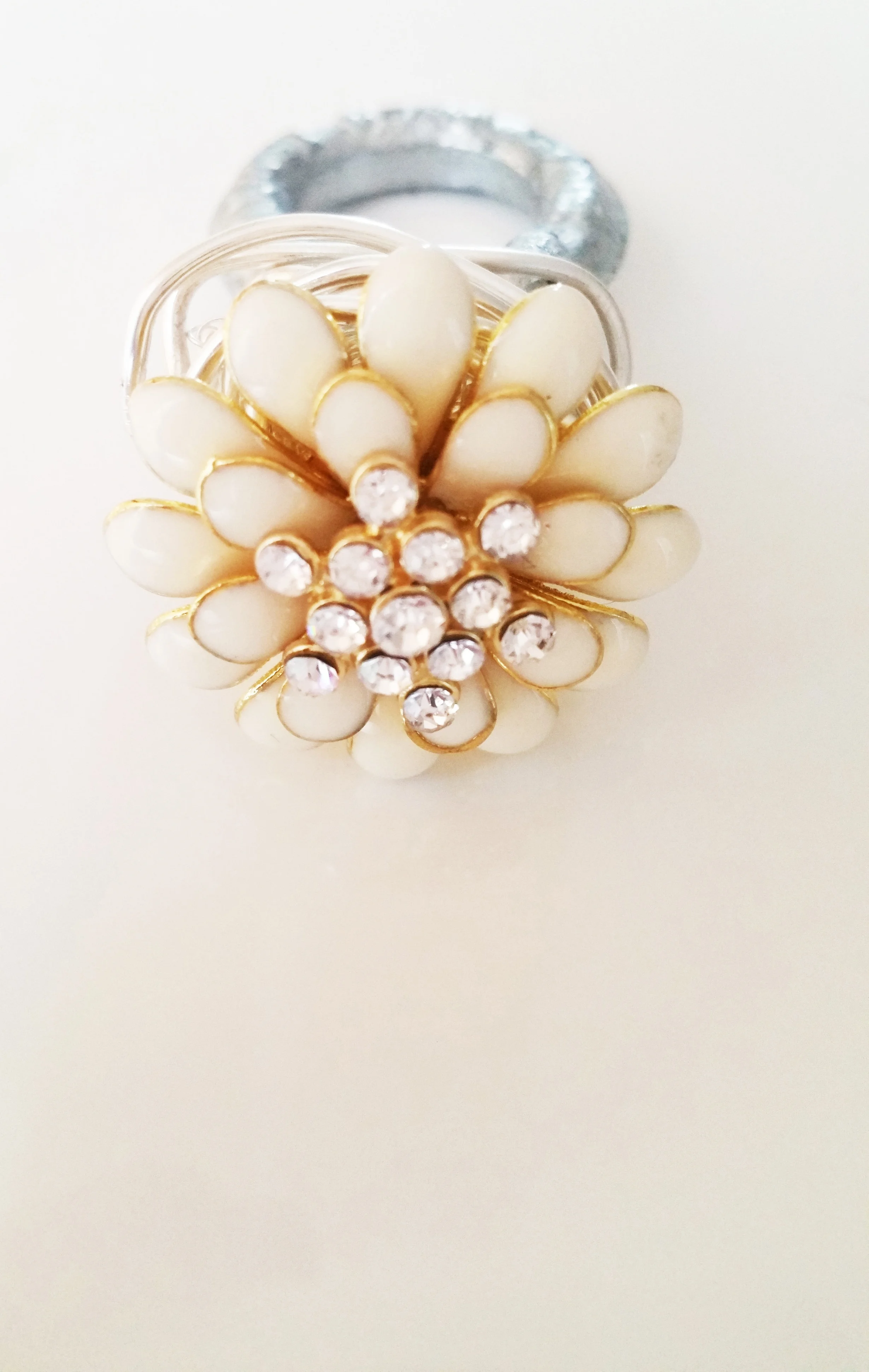 stephanie fastion4.jpg