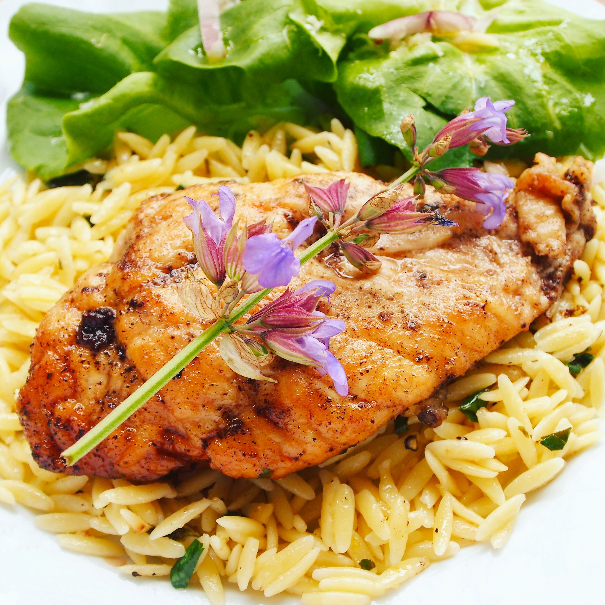 Pan-Seared-Chicken-Breasts-with-Orzo.jpeg