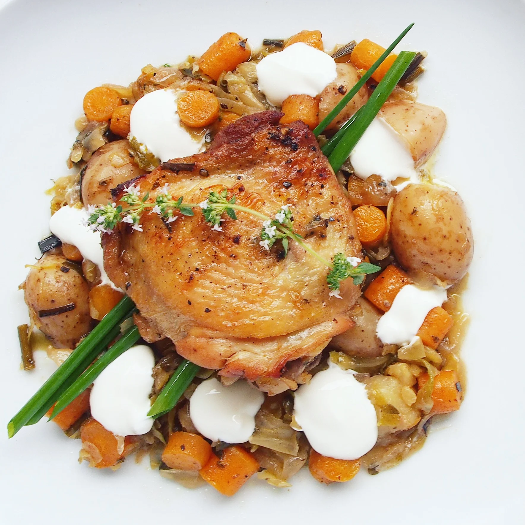 One Pot GermanStyle Chicken with Sauerkraut and Braised Vegetables