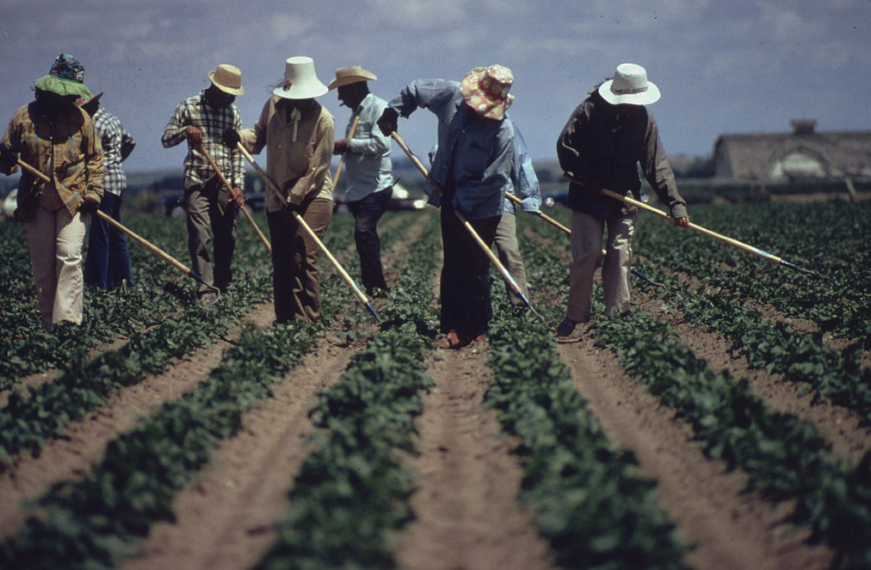 Calor App farm worker safety from the heat