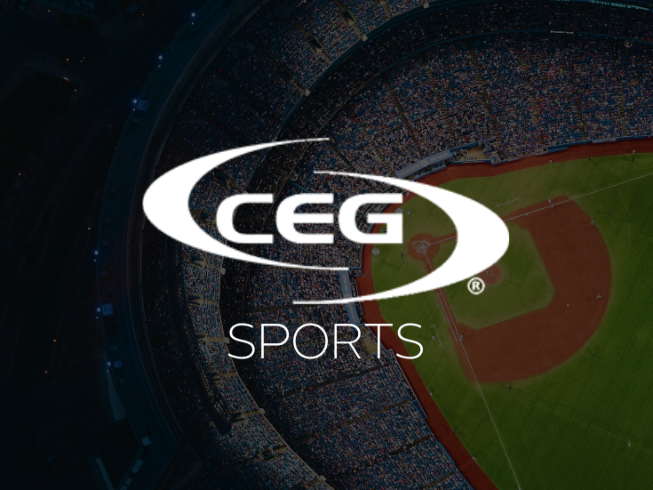 Sample of CEG Newsletter sent to Brands and Influencers around the world