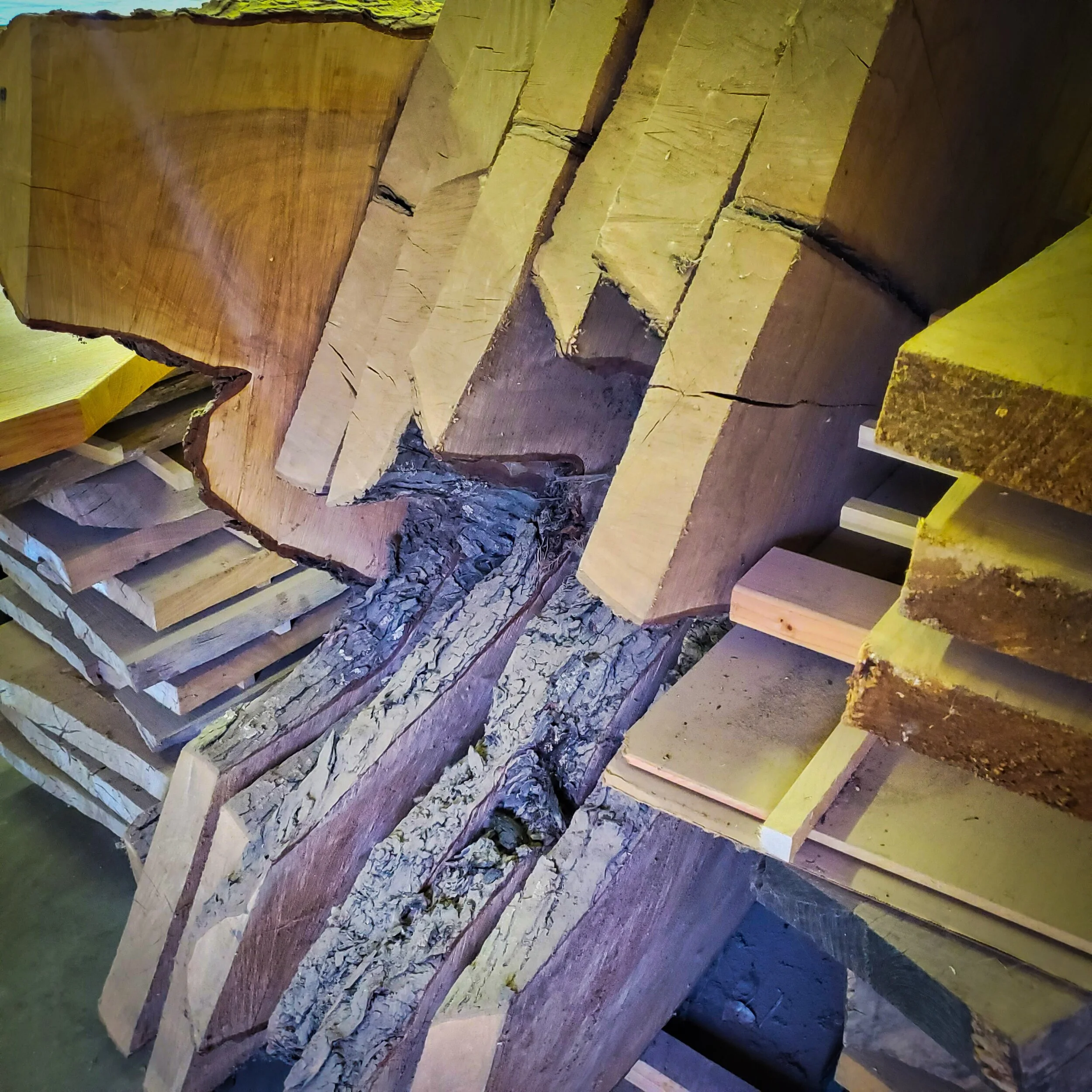 WoodSlabs.jpg