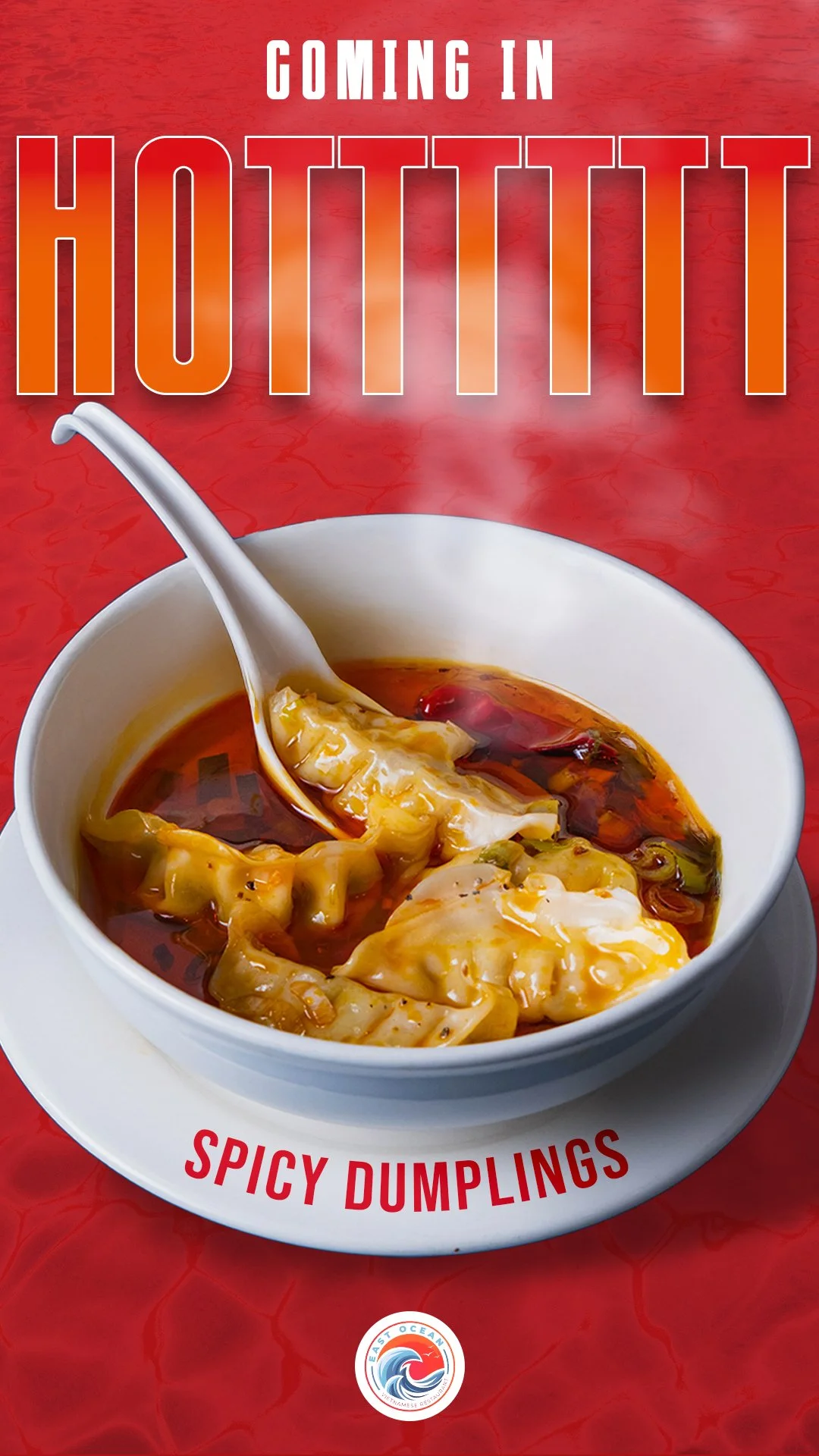 spicy dumplings story copy.jpg