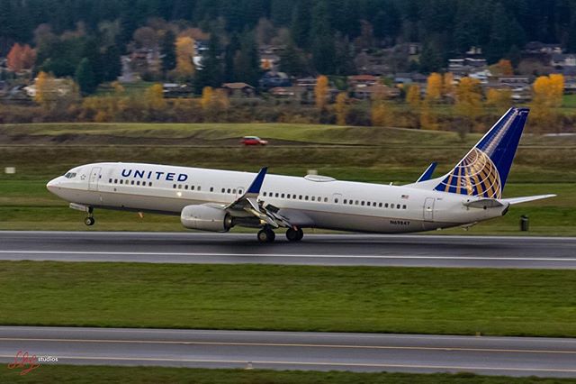 &ldquo;United 1098&rdquo; from San Francisco just after touchdown.
|
|
#avgeek #aviationphotography #instaaviation #planespotting #flypdx #unitedairlines #boeing #737900er #scimitarsunday #nikond7200 #nikon70300mm
