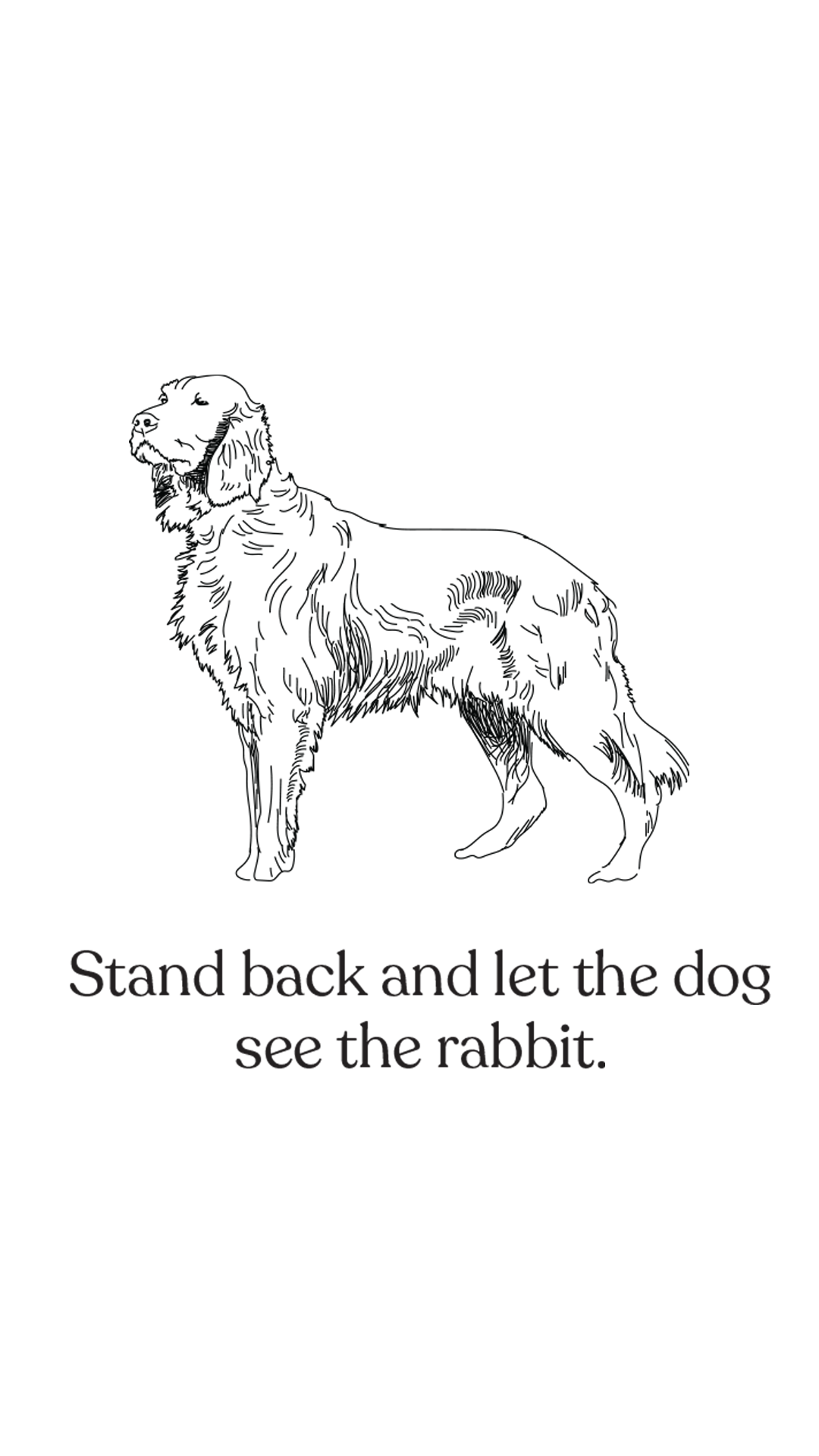 Dog_1920x1080.png
