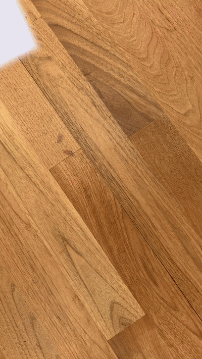 IMG_9993 2.gif