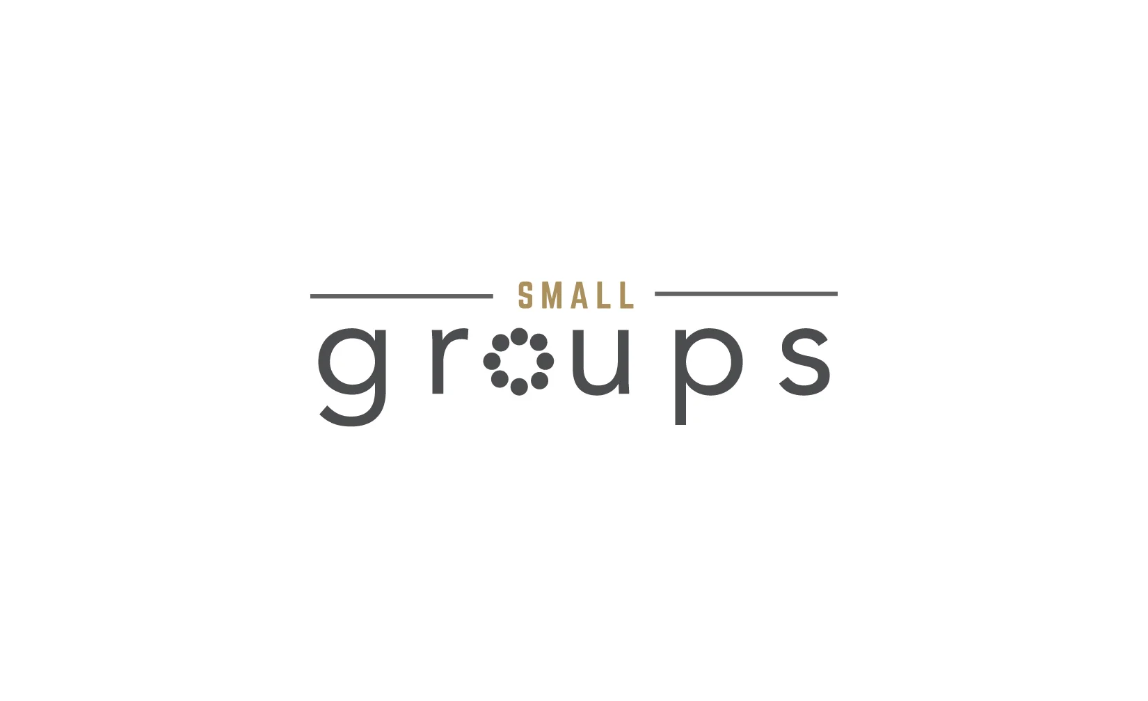 Small Group Survey & Focus Group