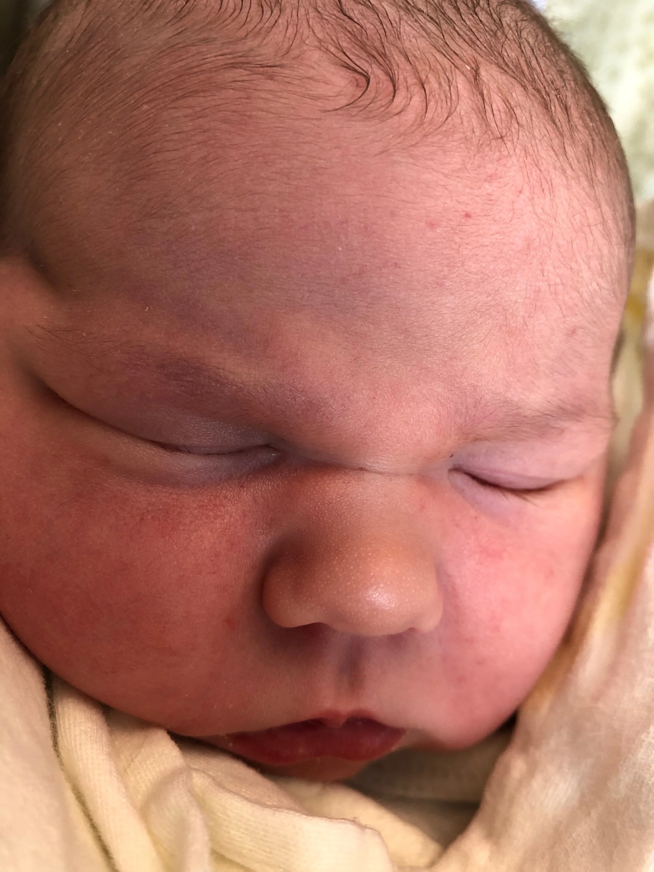 Meal Train for Fischers 