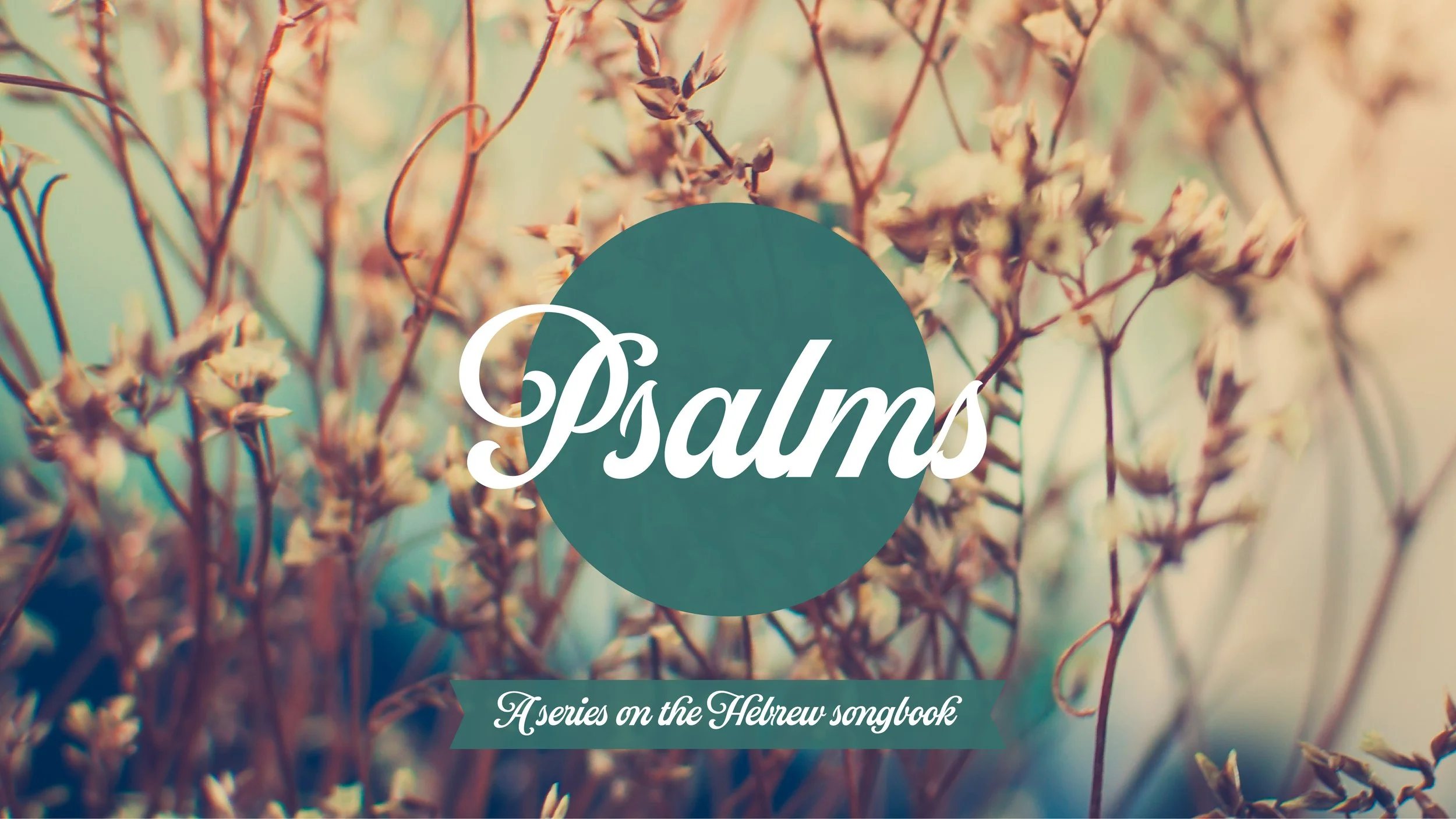 Psalm 13 - June 28th, 2026