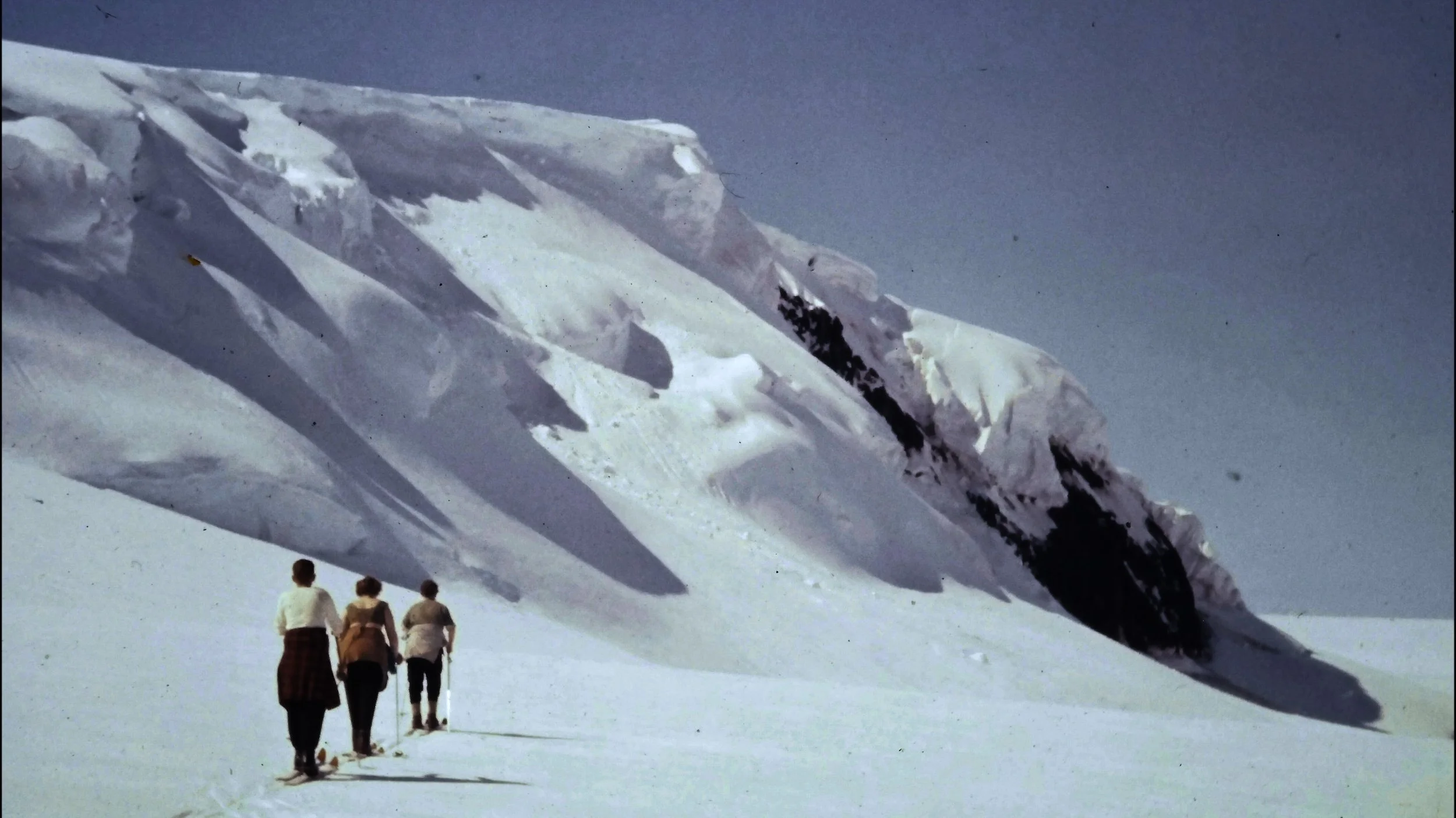 frame_133517.jpg