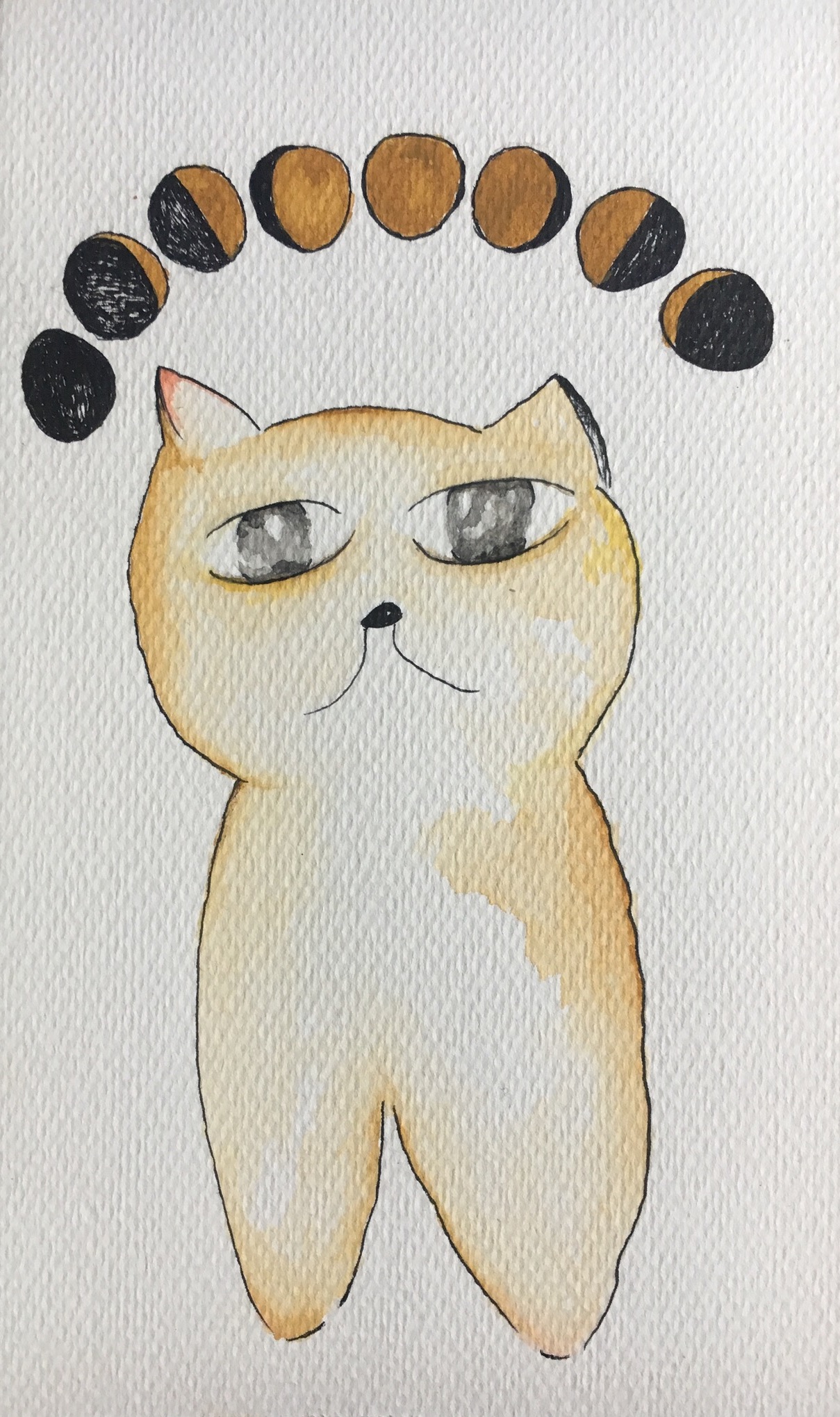 FullSizeRender 16.jpg