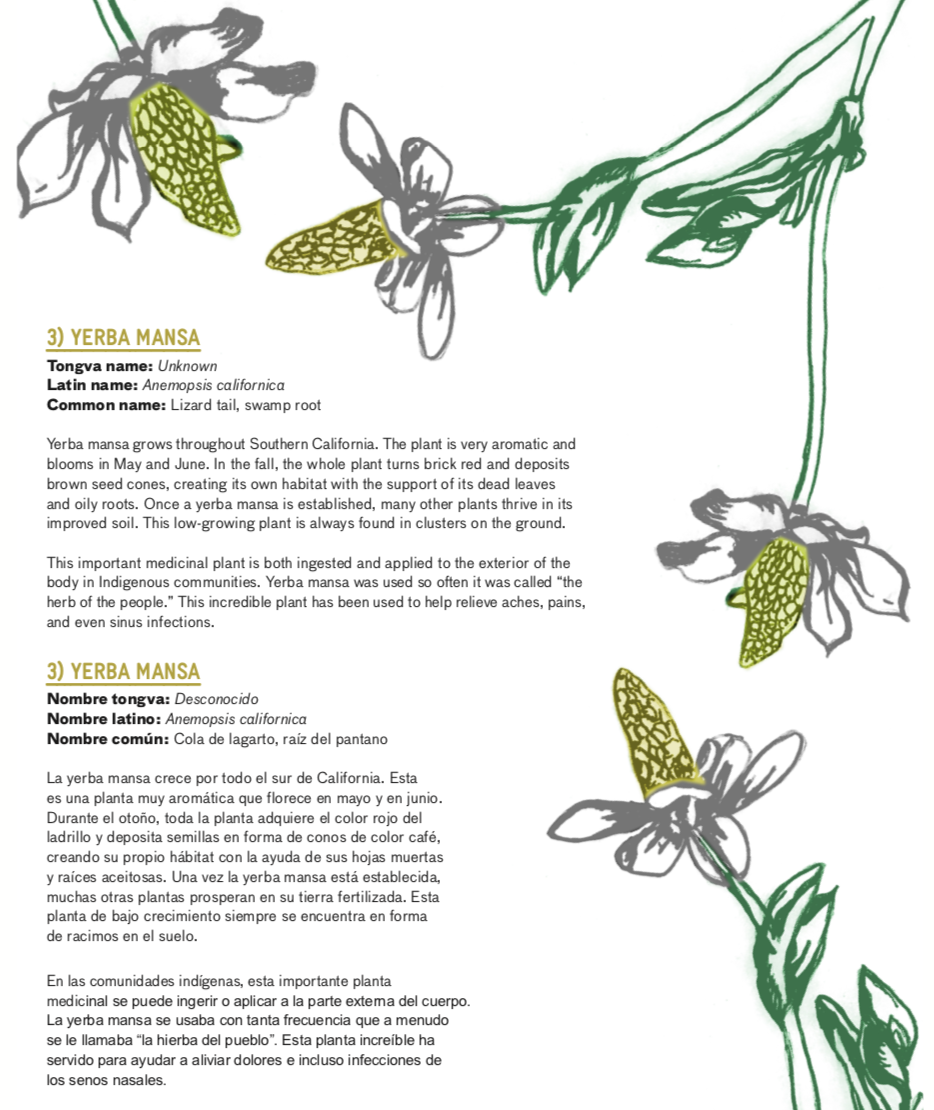 Screen Shot 2023-03-31 at 12.07.14 PM.png