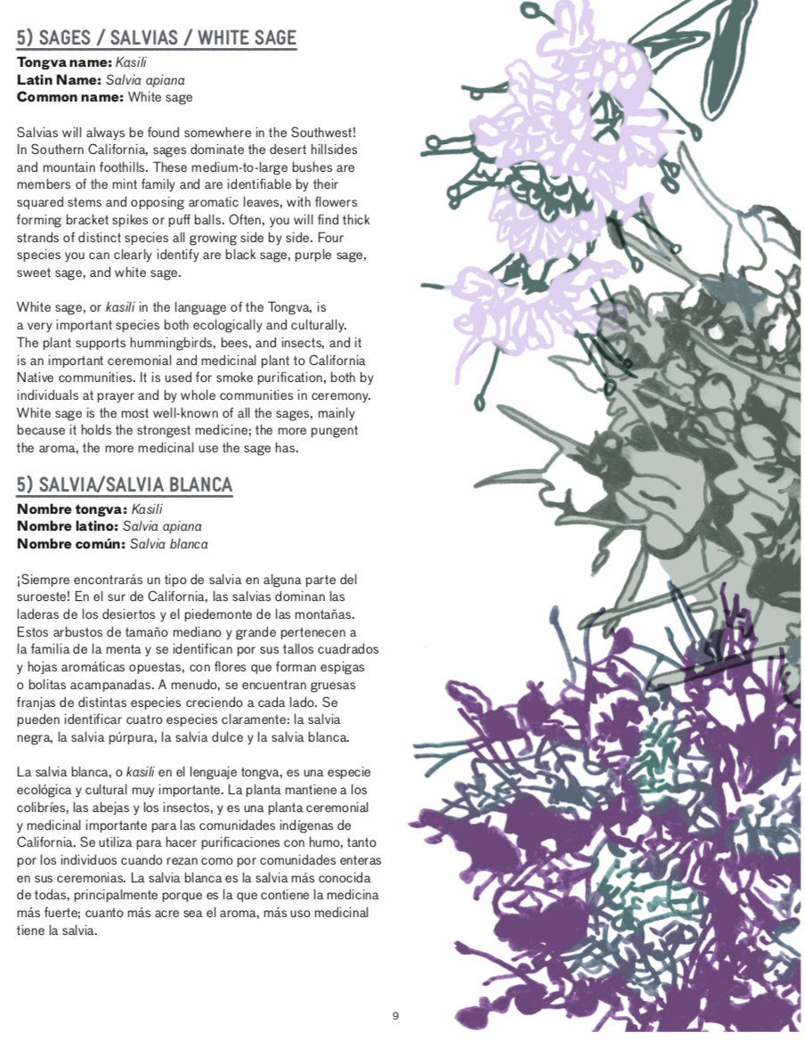 Screen Shot 2023-03-31 at 12.07.32 PM.png