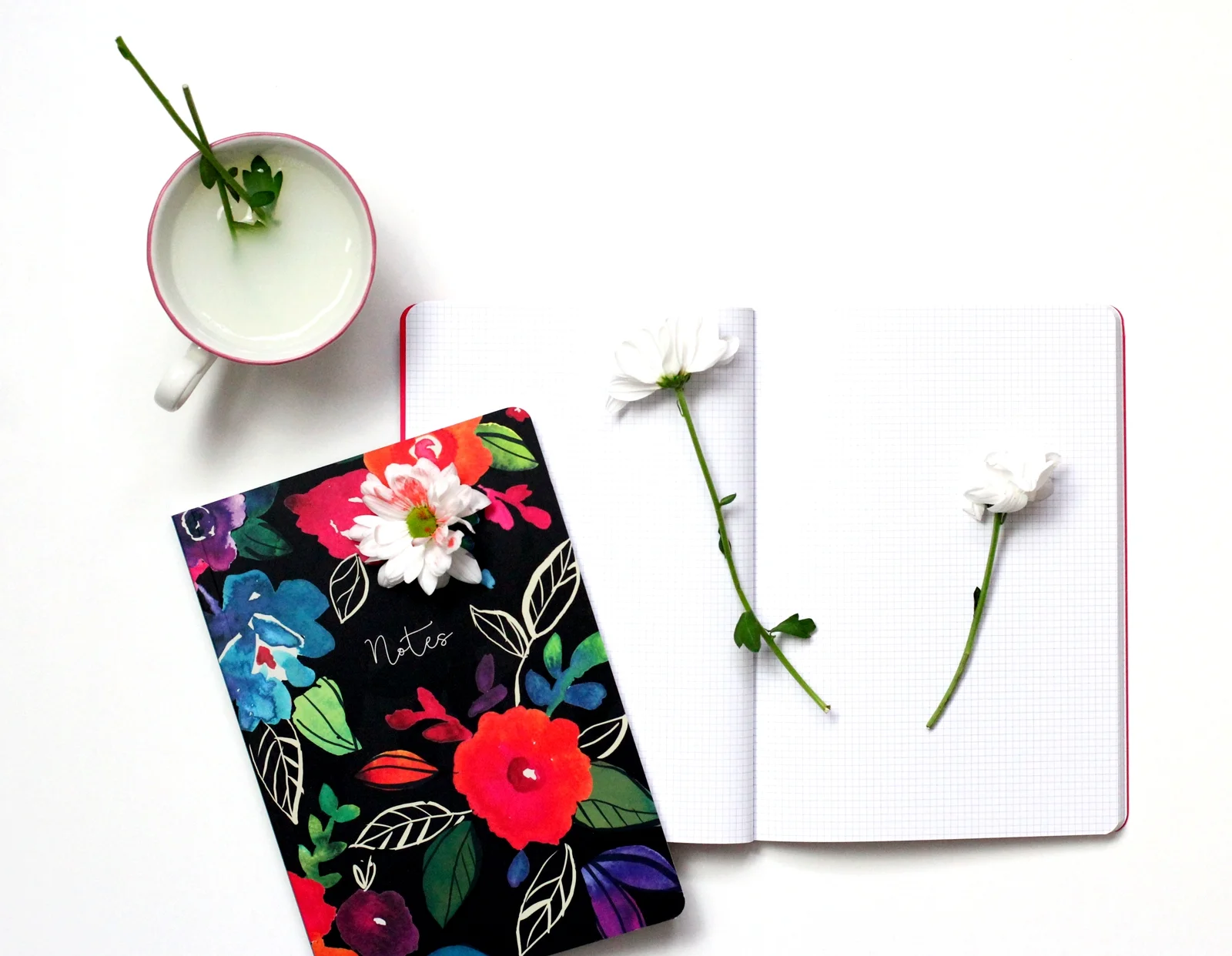 edie & rona stationery notebooks creative writing