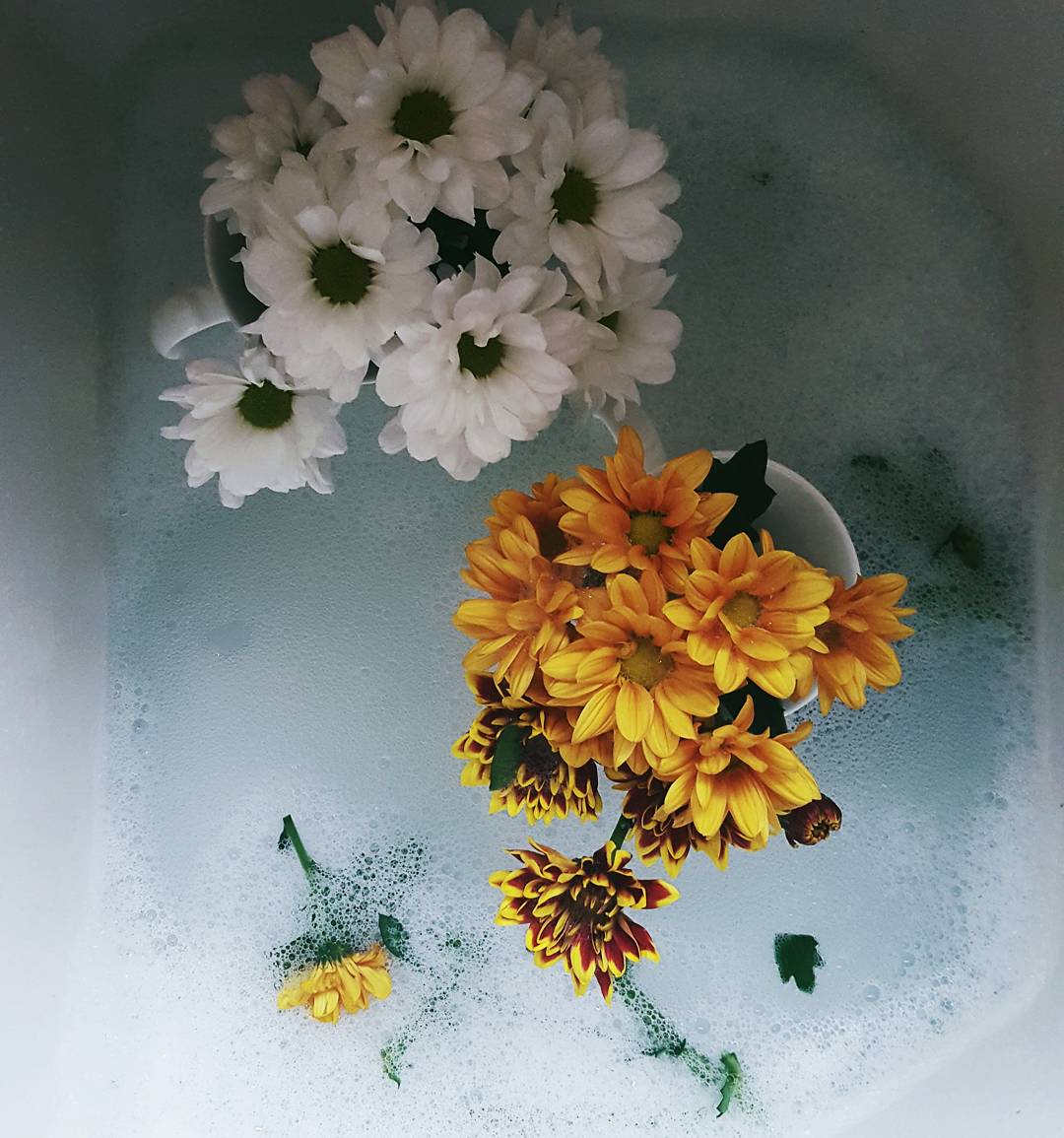 creative writing flowers bloom and grow