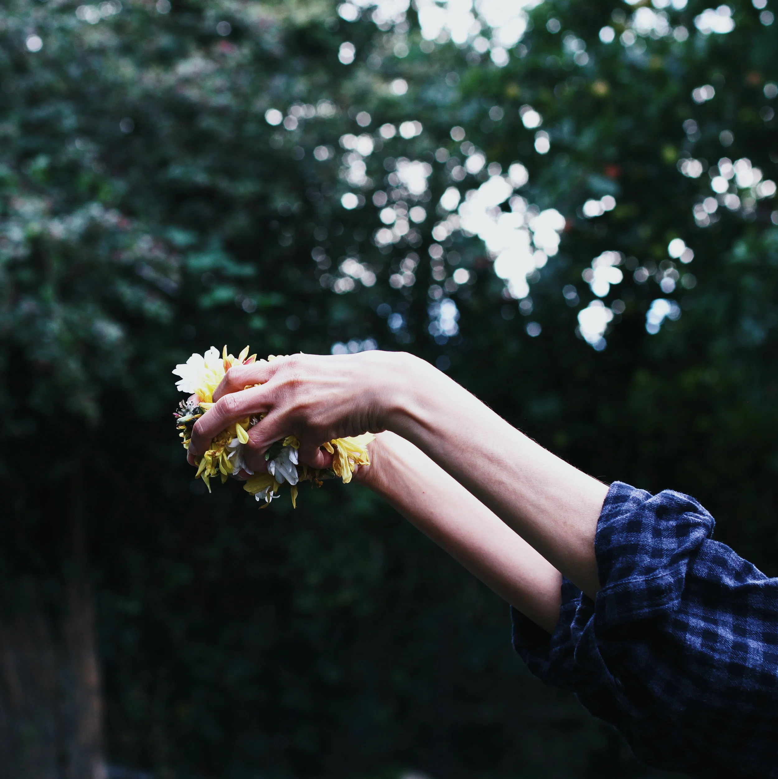 moving on from summer botanical floral