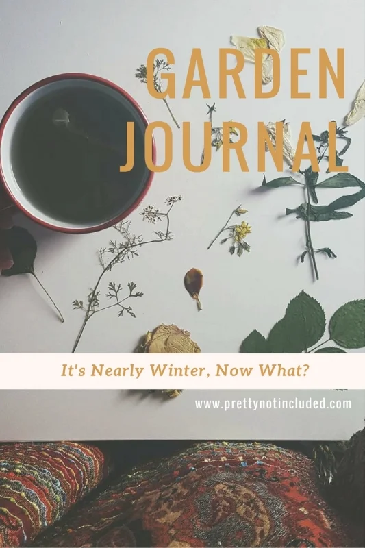Garden Journal: It's nearly winter, now what? The second installment of my garden journal talks about the plight of being a beginniner and not satisfying that gardening fix over the colder months. I managed to find 6 ways to keep me occupied though. 