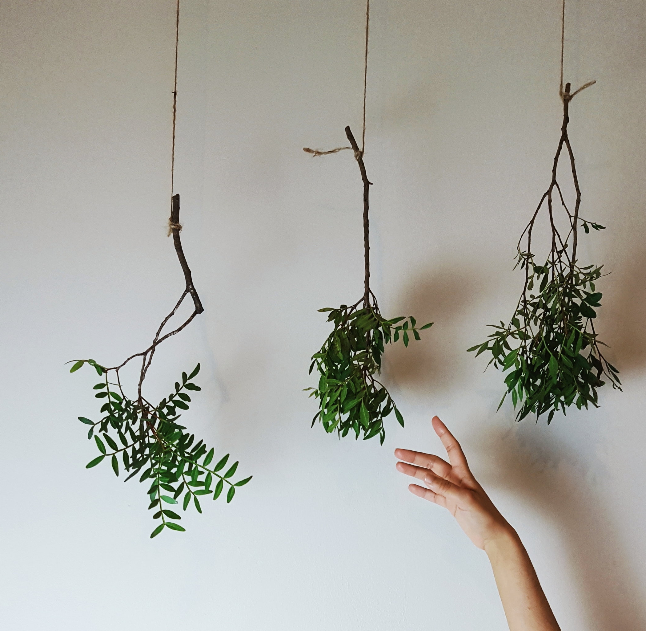 Energise your morning routine with the details - observing nature, cleaning work space, good playlist, verdure room mist.