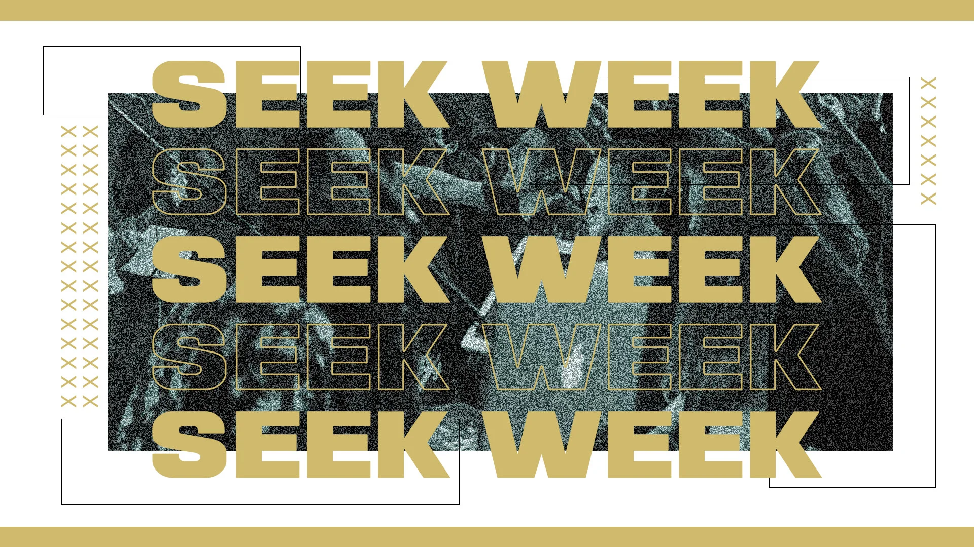 seek212.jpg