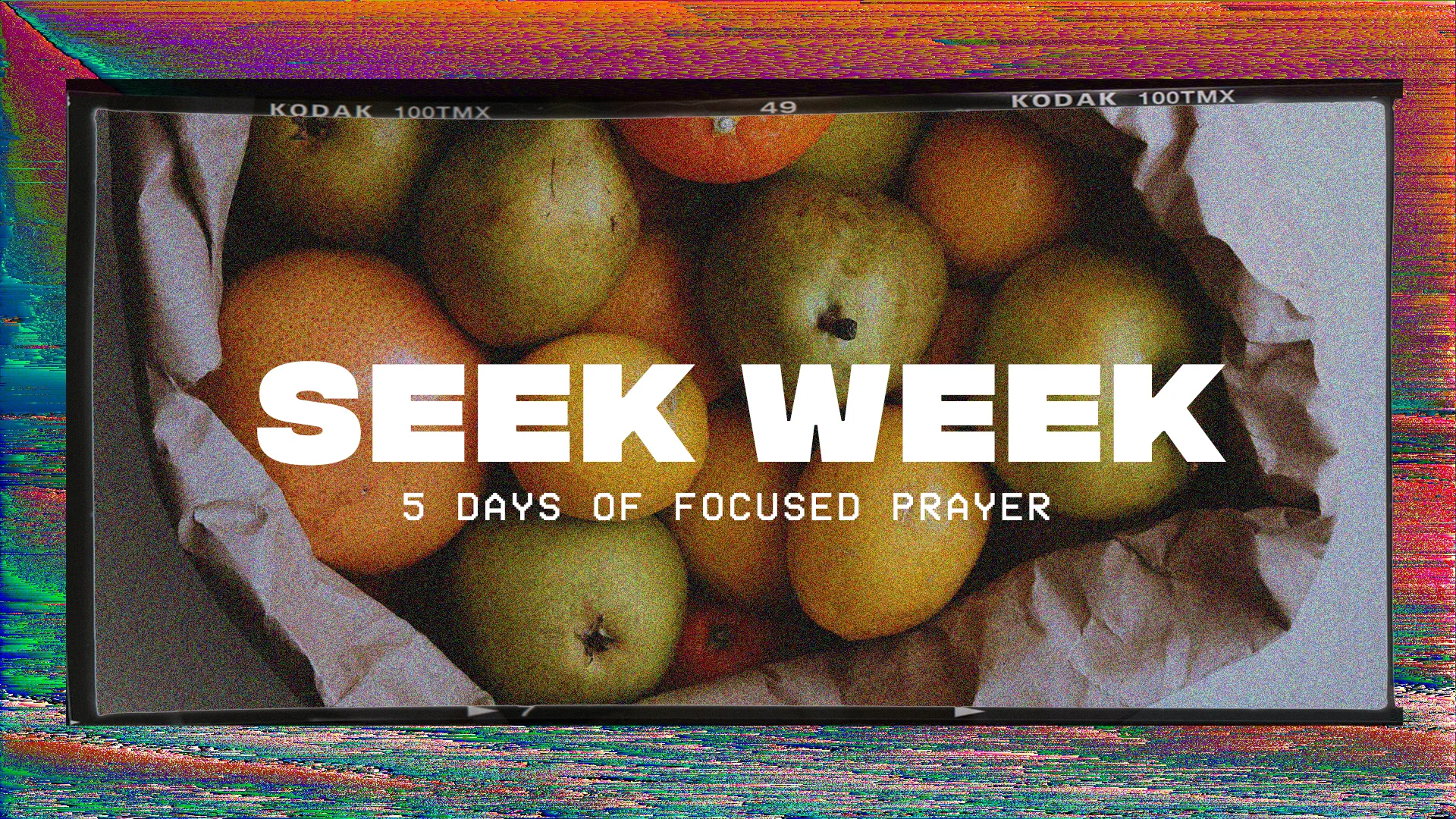 seek week1.jpg