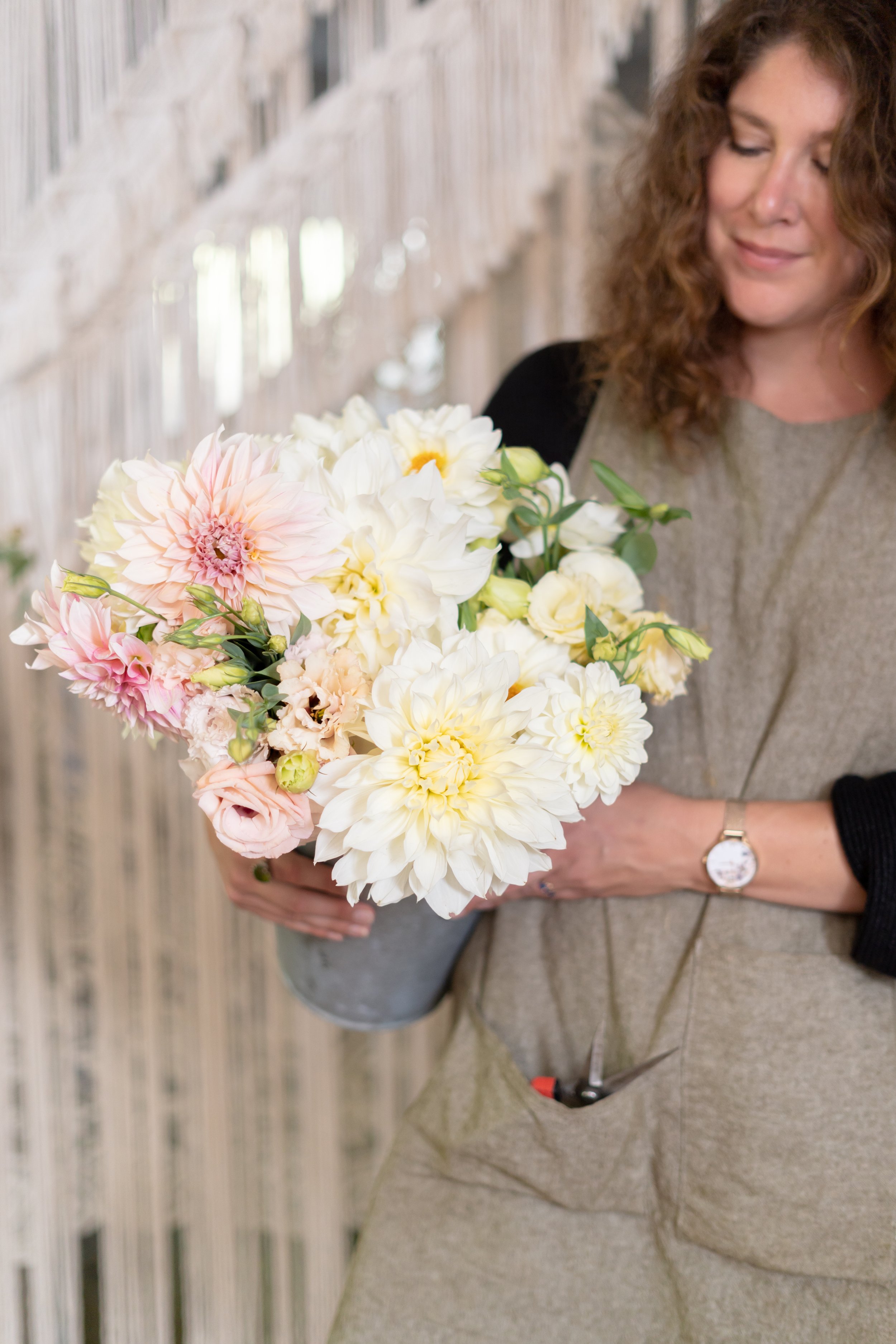 Local flower dahlias