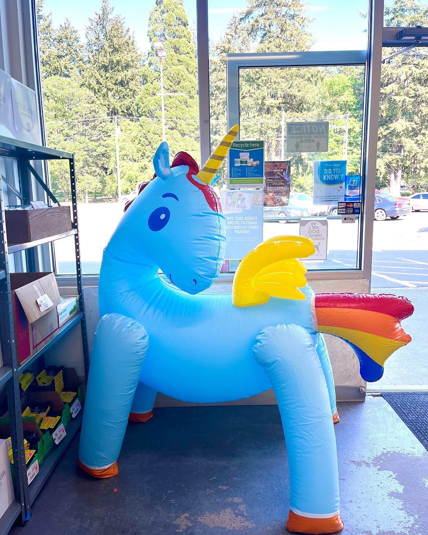 Meet Little Jo! 🦄He is the new addition to our Stores. Little Jo is a magical inflatable unicorn that can spray water from his tail and provide hours of fun on a hot summer&rsquo;s day! Our inflatable unicorn sprinkler toys are only✨ $5 each!✨ Avail