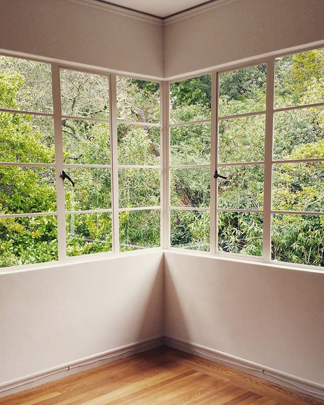 Something about the way these 1940's divided light windows frame a view.