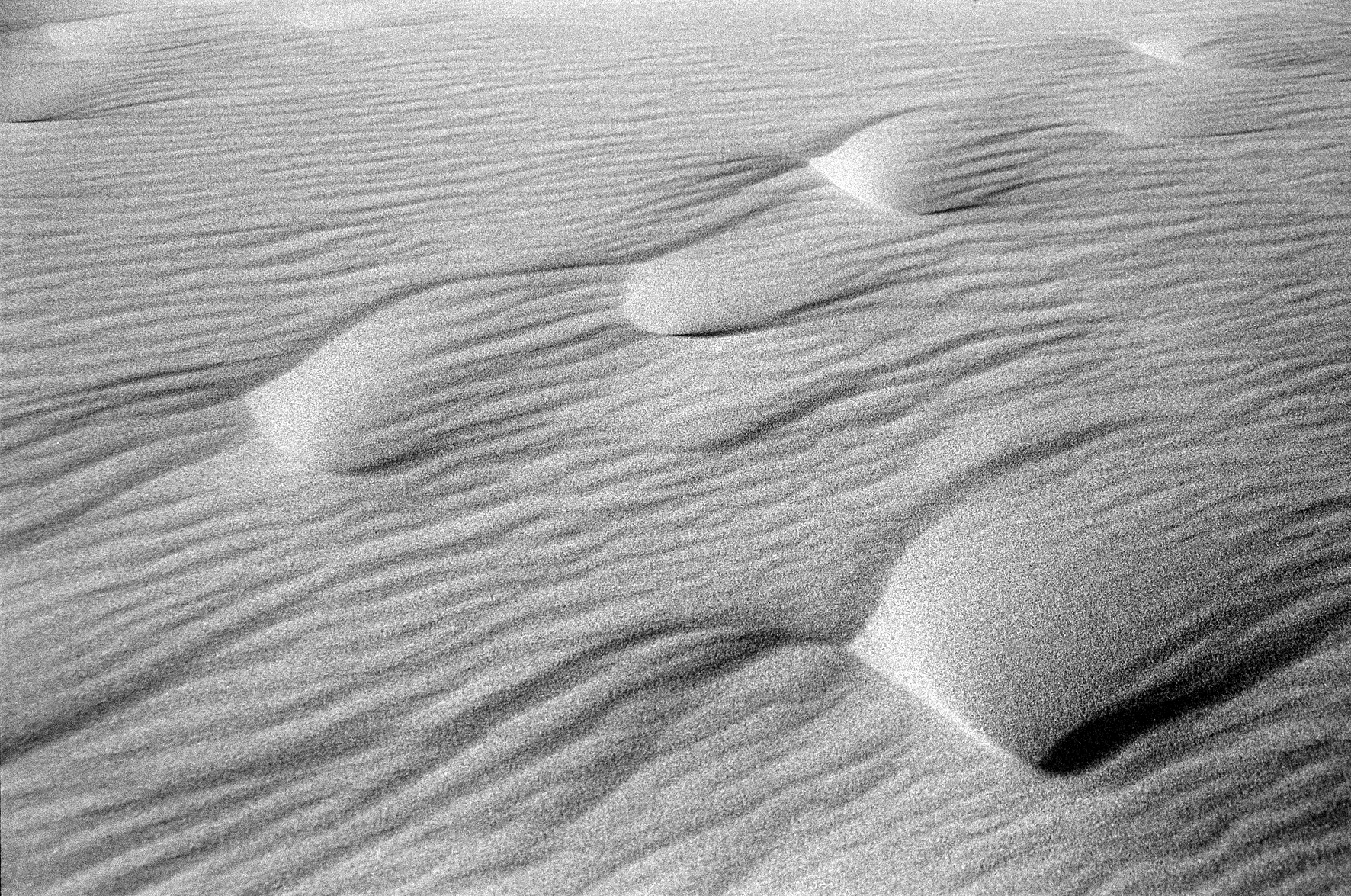 Maranjab Desert7.jpg