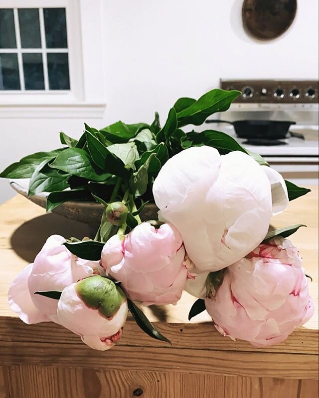 Half way through the week and making weekend plans. On the shopping list: roses and greenery to accompany these peonies, as well as &ldquo;s&rdquo; hooks in order to hang more copper pots and pans. 😍 #thehomeof1812 #frenchcountrykitchen #peonies #th